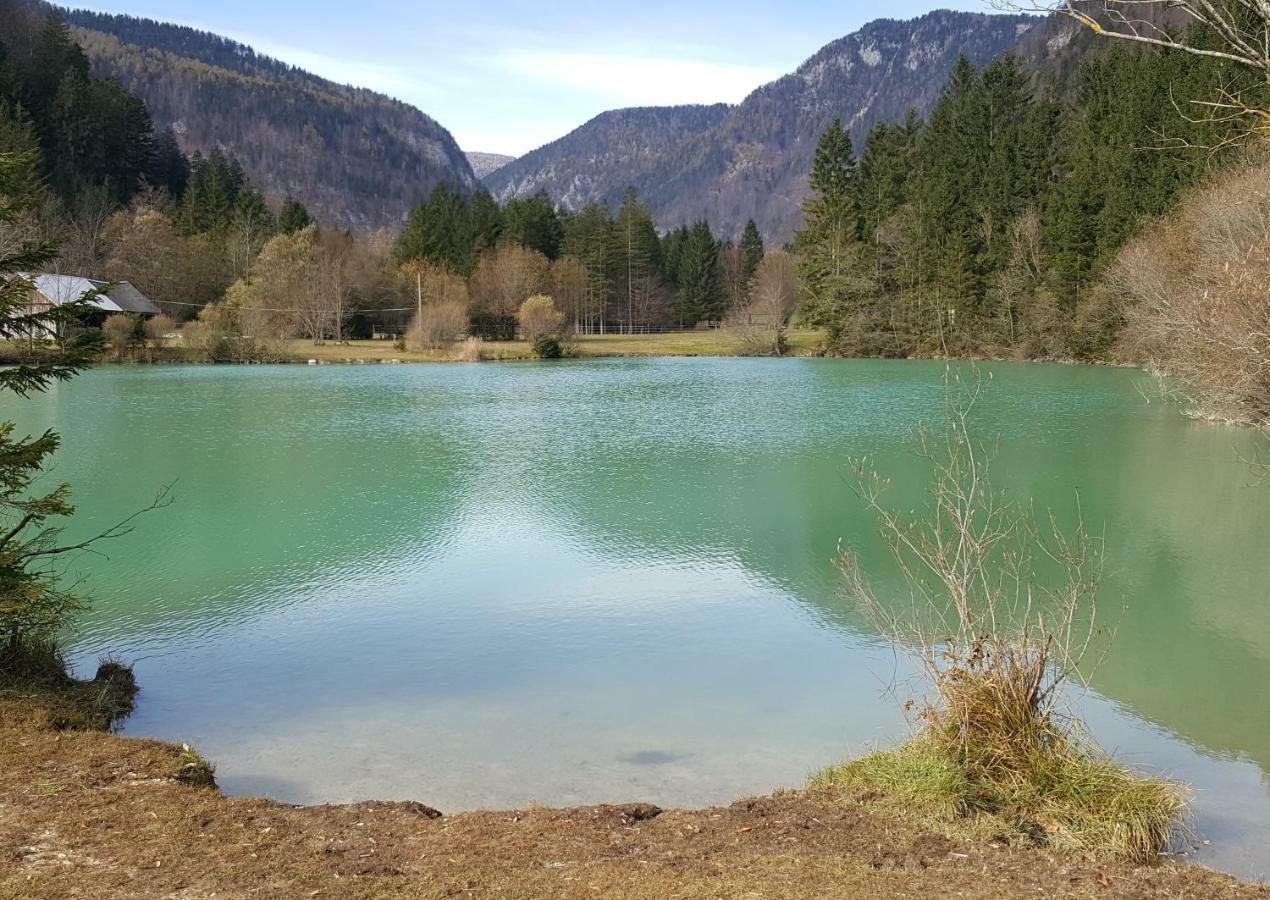 Apartma Manca Kranjska Gora Exterior foto